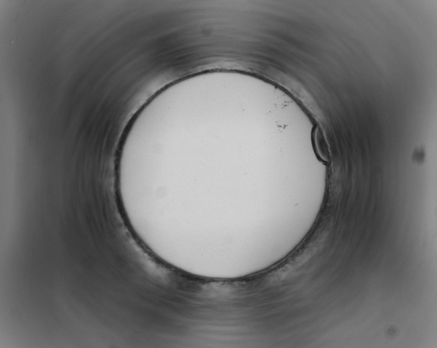 X0000101430898200808041149