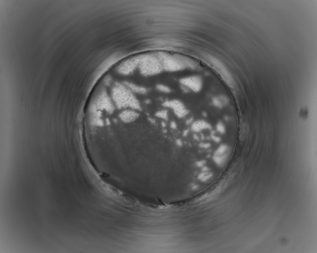 X0000101430899200808041149