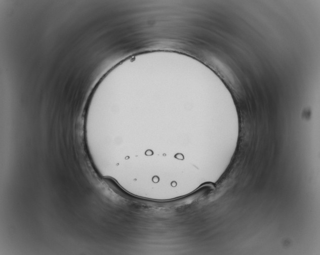 X0000101430900200808041149