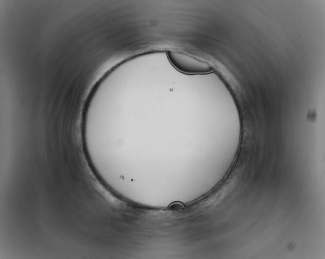 X0000101430902200808041149