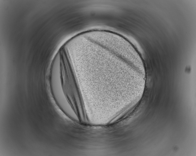 X0000101430903200808041149