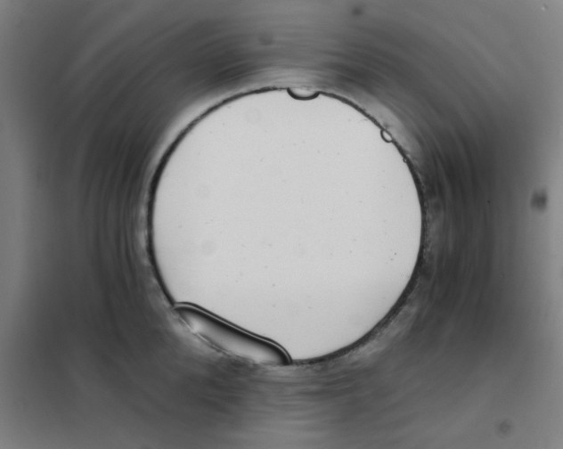 X0000101430904200808041149