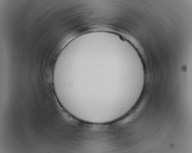 X0000101430905200808041149