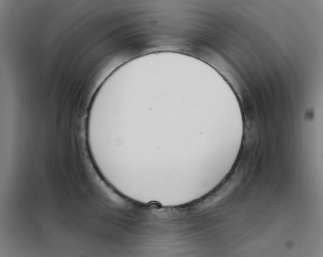 X0000101430906200808041148