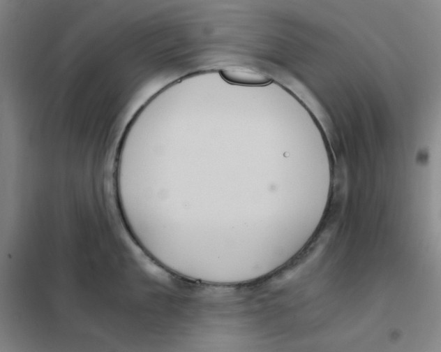 X0000101430909200808041148