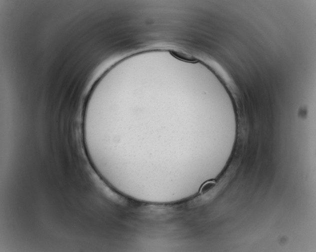 X0000101430910200808041148