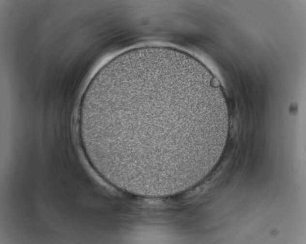 X0000101430911200808041148