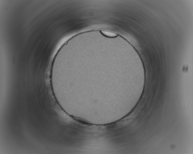 X0000101430912200808041148