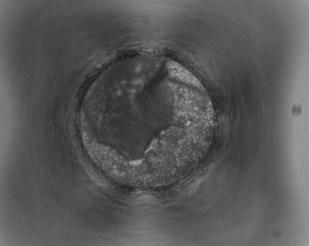 X0000101430913200808041148