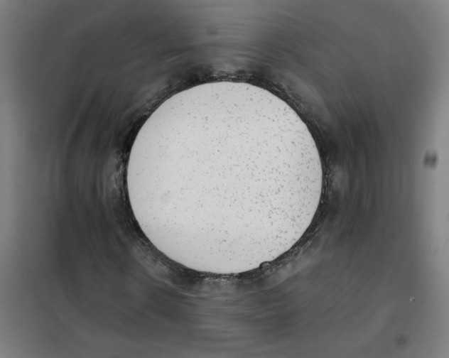 X0000101430914200808041148