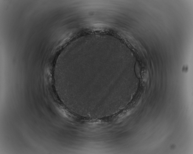 X0000101430916200808041148