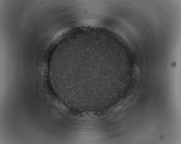 X0000101430918200808041148