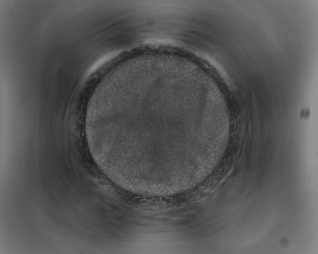 X0000101430919200808041148