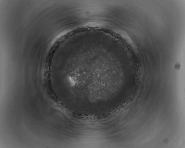 X0000101430920200808041148