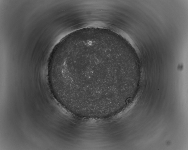 X0000101430923200808041148