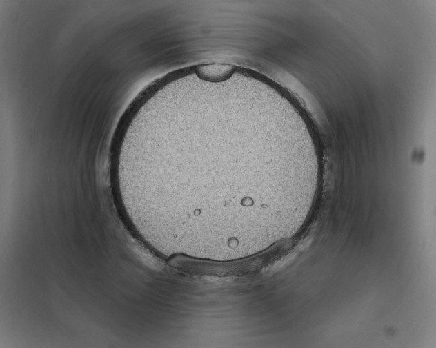 X0000101430924200808041148