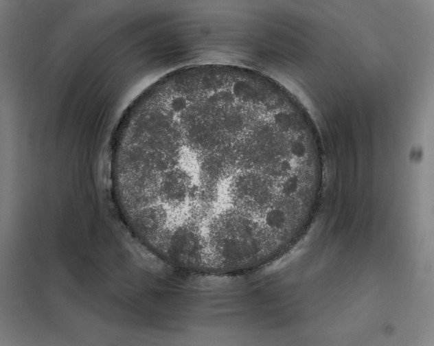 X0000101430925200808041148