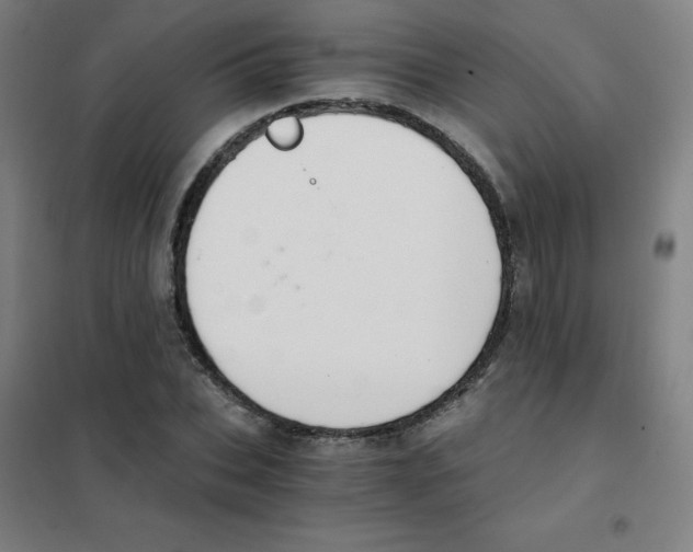 X0000101430927200808041148