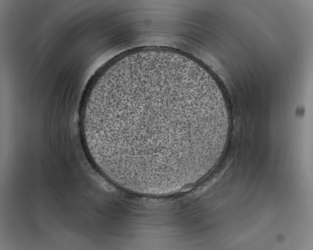 X0000101430928200808041148