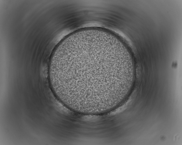 X0000101430929200808041148