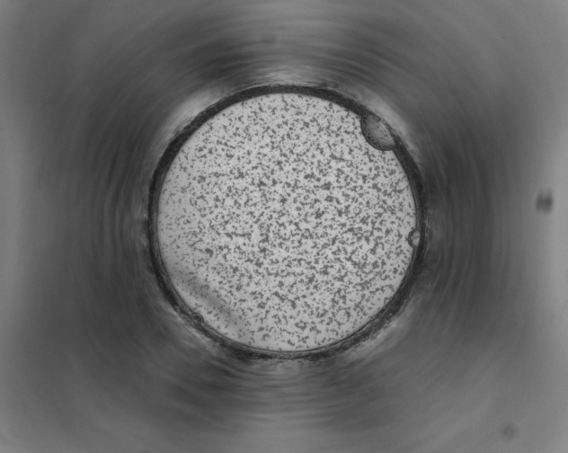 X0000101430930200808041148