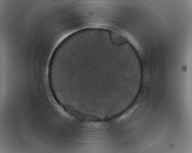 X0000101430932200808041148