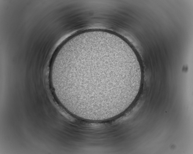 X0000101430933200808041148