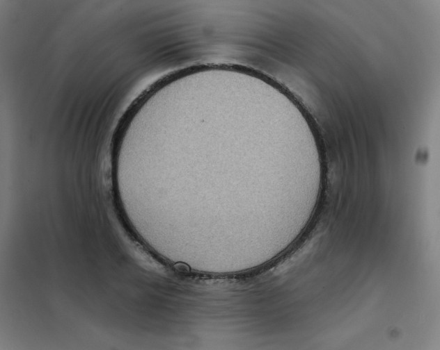 X0000101430934200808041148