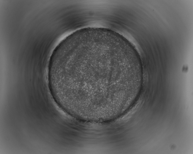 X0000101430935200808041148