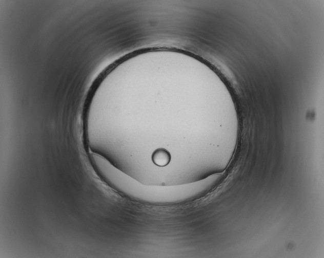 X0000101430936200808041148