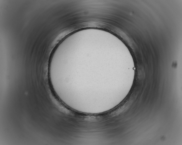 X0000101430938200808041148