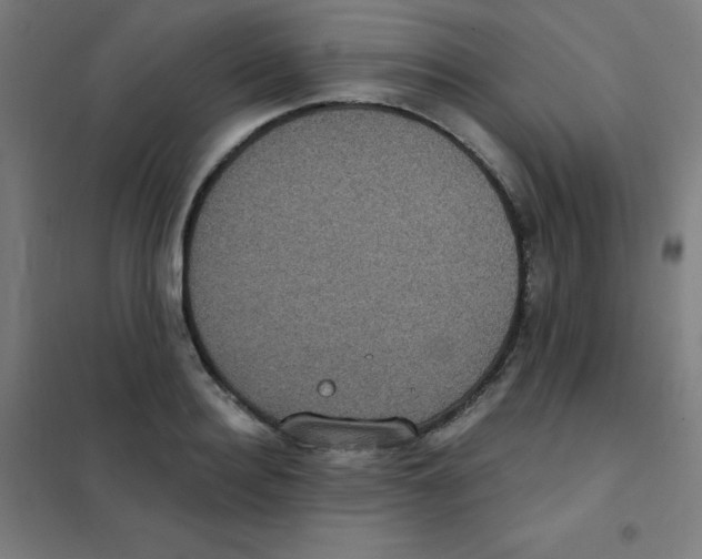 X0000101430940200808041148