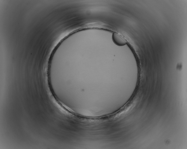 X0000101430941200808041148