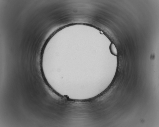 X0000101430942200808041148