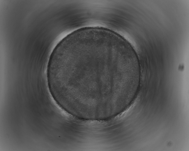 X0000101430943200808041148