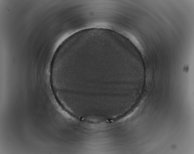 X0000101430944200808041148