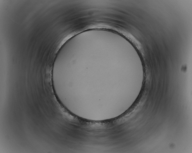 X0000101430945200808041148