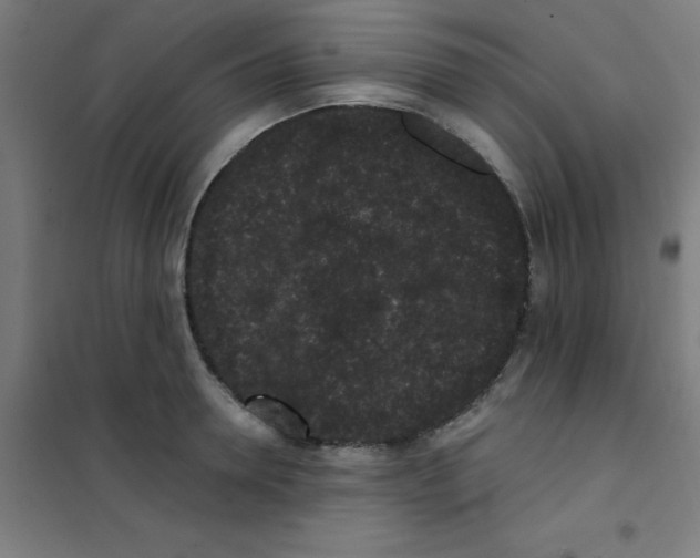 X0000101430946200808041148