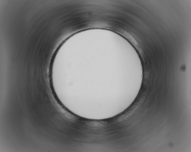 X0000101430947200808041148