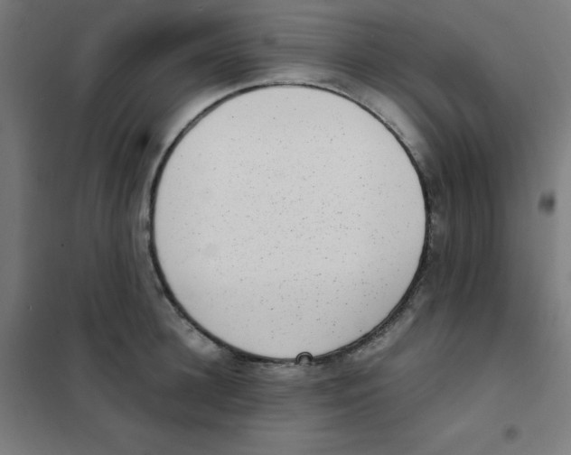 X0000101430948200808041148