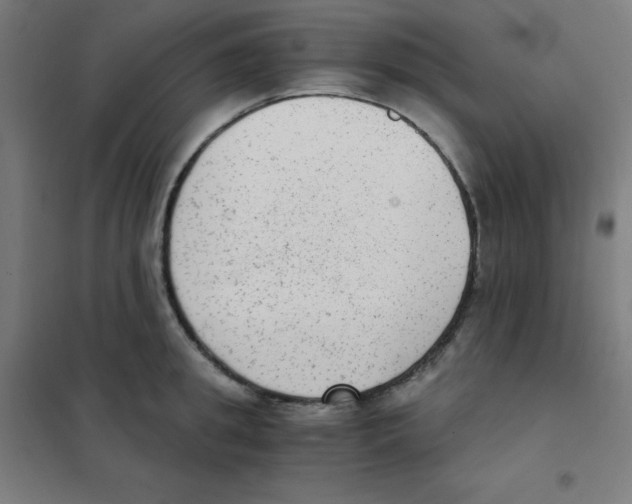 X0000101430949200808041148