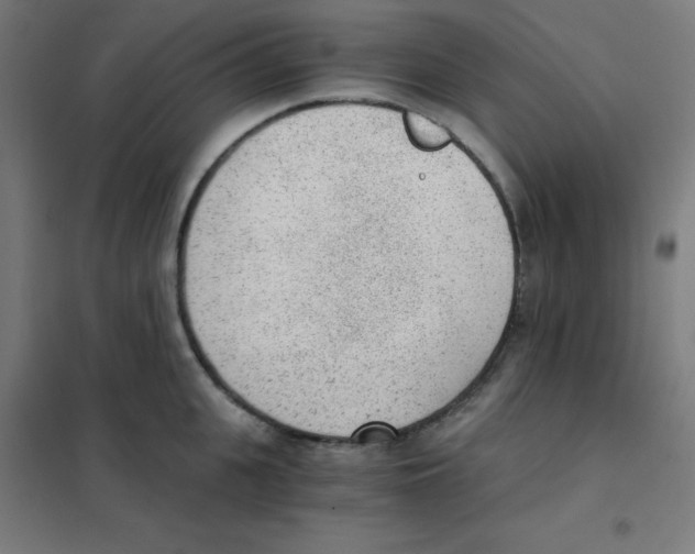 X0000101430951200808041148