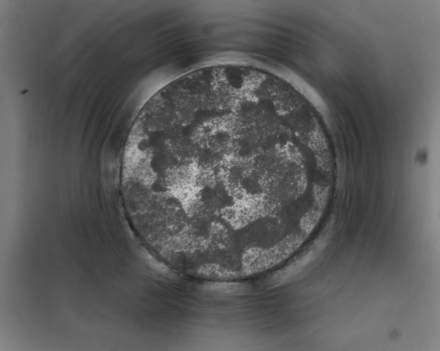 X0000101430953200808041148