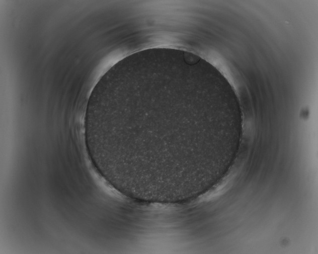 X0000101430954200808041148