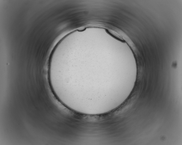 X0000101430955200808041148