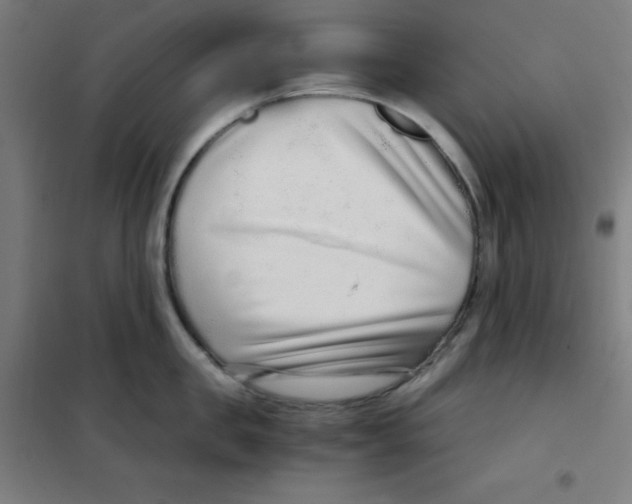 X0000101430957200808041148