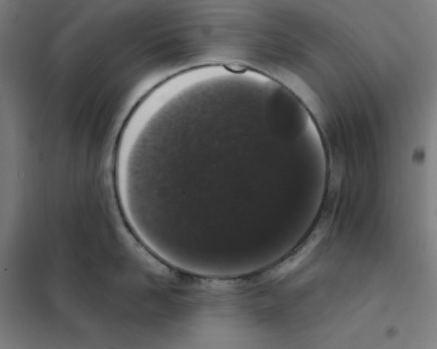 X0000101430958200808041148