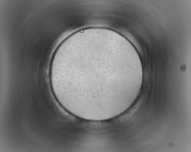 X0000101430959200808041148