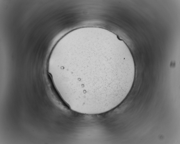 X0000101430960200808041148