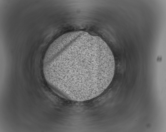 X0000101430961200808041148